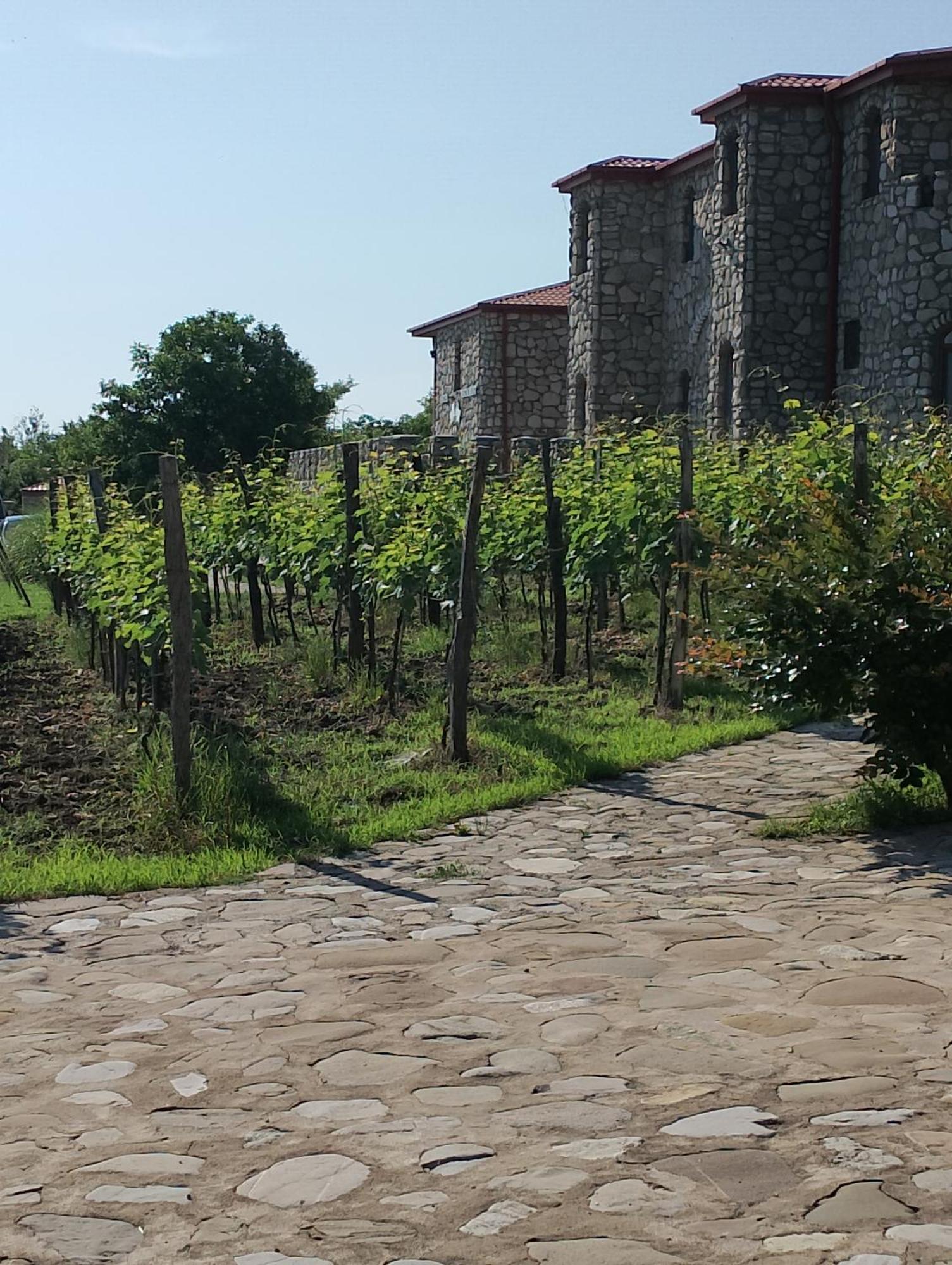 Chateau Tetri Bairagebi White Flags Kisiskhevi Exterior photo